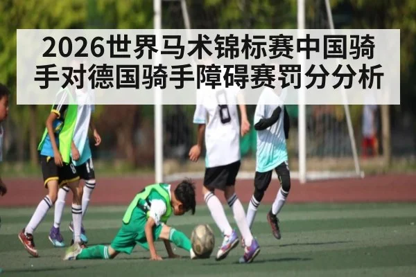 2026世界马术锦标赛中国骑手对德国骑手障碍赛罚分分析